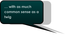 … with as much common sense as a twig