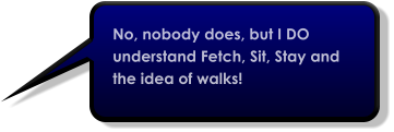 No, nobody does, but I DO understand Fetch, Sit, Stay and the idea of walks!