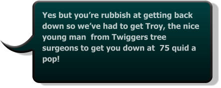 Yes but you’re rubbish at getting back down so we’ve had to get Troy, the nice young man  from Twiggers tree surgeons to get you down at  75 quid a  pop!