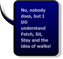 No, nobody does, but I DO understand Fetch, Sit, Stay and the idea of walks!