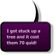 I got stuck up a tree and it cost them 70 quid!