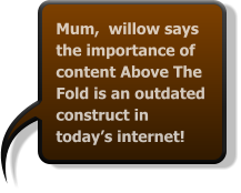 Mum,  willow says the importance of content Above The Fold is an outdated construct in today’s internet!