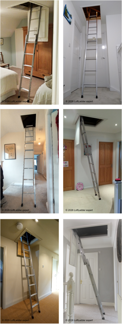 © 2026 LoftLadder expert © 2026 LoftLadder expert © 2026 LoftLadder expert © 2026 LoftLadder expert © 2026 LoftLadder expert © 2026 LoftLadder expert