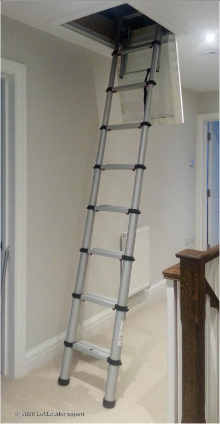 © 2026 LoftLadder expert