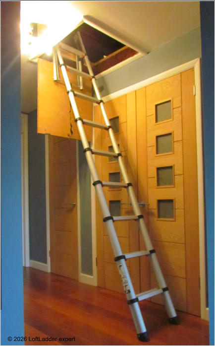 © 2026 LoftLadder expert