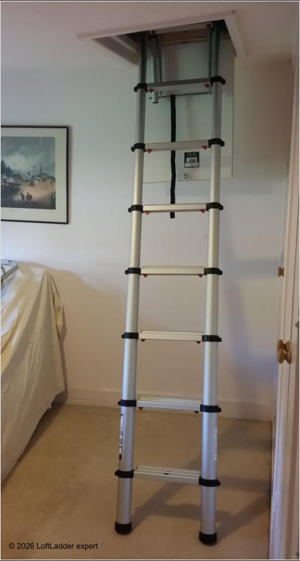 © 2026 LoftLadder expert