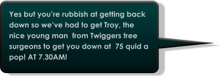Yes but you’re rubbish at getting back down so we’ve had to get Troy, the nice young man  from Twiggers tree surgeons to get you down at  75 quid a  pop! AT 7.30AM!