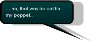 … no, that was for cat flu my poppet..