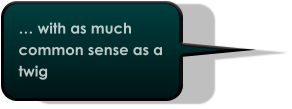 … with as much common sense as a twig