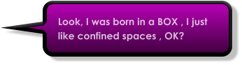 Look, I was born in a BOX , I just like confined spaces , OK?